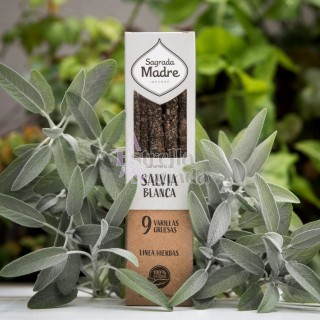 Sahumerios De Salvia Blanca Sagrada Madre | Estrella Sagrada